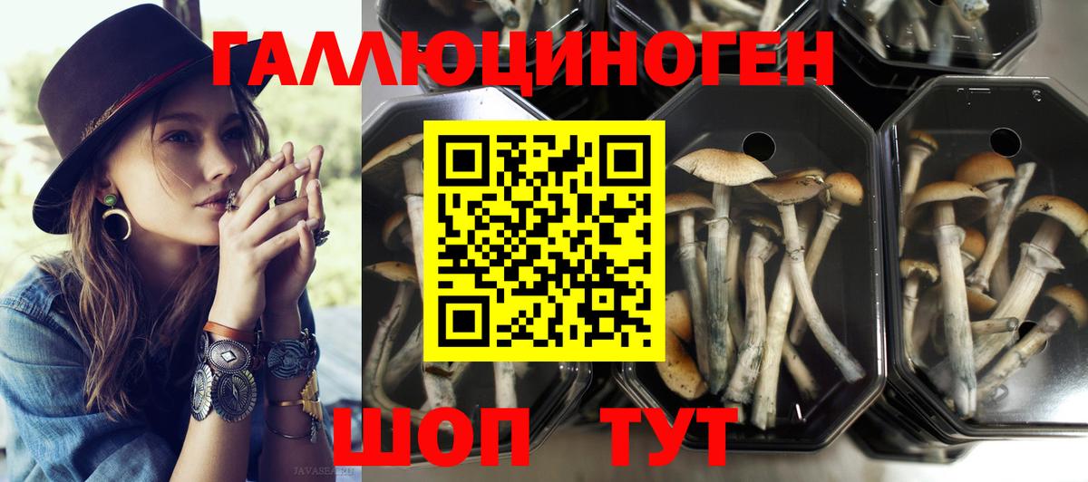 Благодарный  Псилоцибиновые грибы мицелий  Вход с VPN 